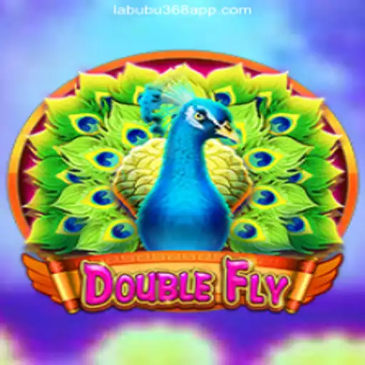 Discover the Excitement of DoubleFly